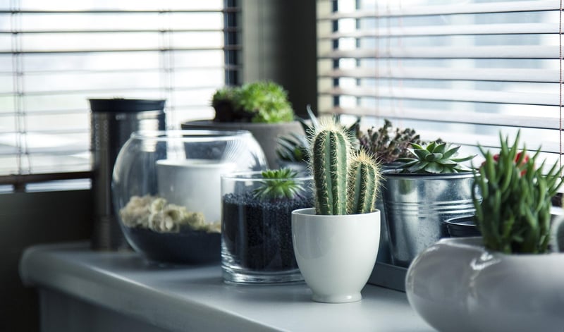 Vertical Planters